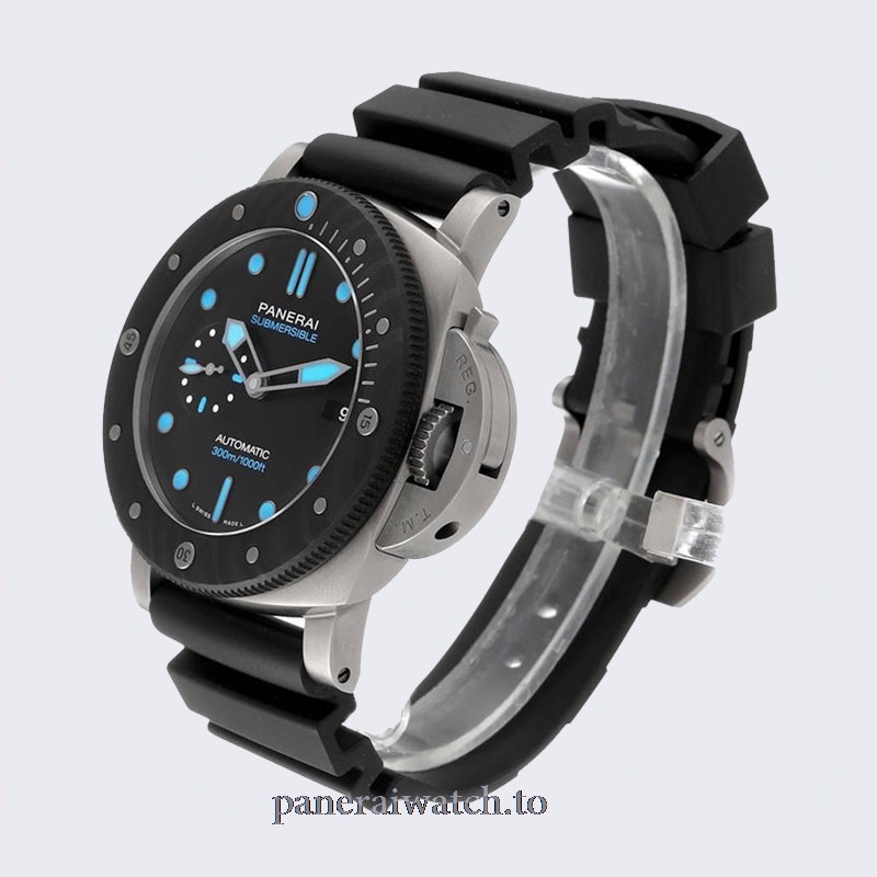 pam00799